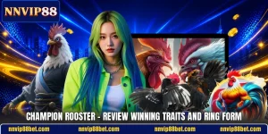 Champion Rooster - Review Winning Traits And Ring Form