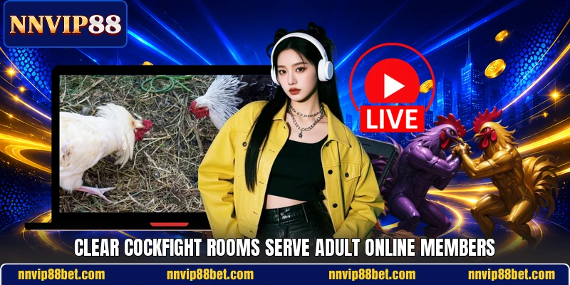 Clear cockfight rooms serve adult online members Clear cockfight rooms serve adult online members