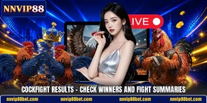 Cockfight Results - Check Winners And Fight Summaries