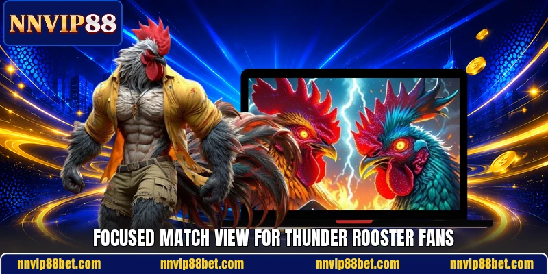 Focused match view for thunder rooster fans Focused match view for thunder rooster fans