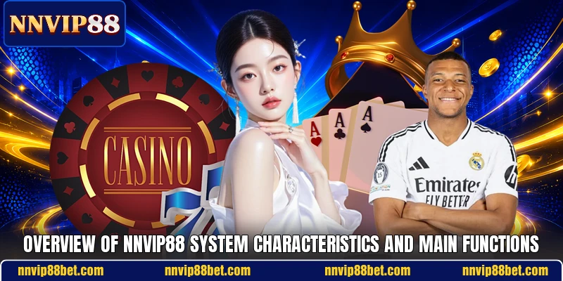 Overview of NNVIP88 system characteristics and main functions Overview of NNVIP88 system characteristics and main functions
