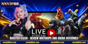 Rooster Clash - Review Matchups And Arena Outcomes