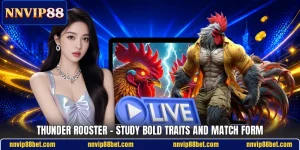 Thunder Rooster - Study Bold Traits And Match Form